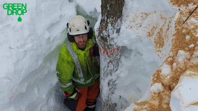 Snowed In? Here's How to Make the Best Snow Fort on the Block