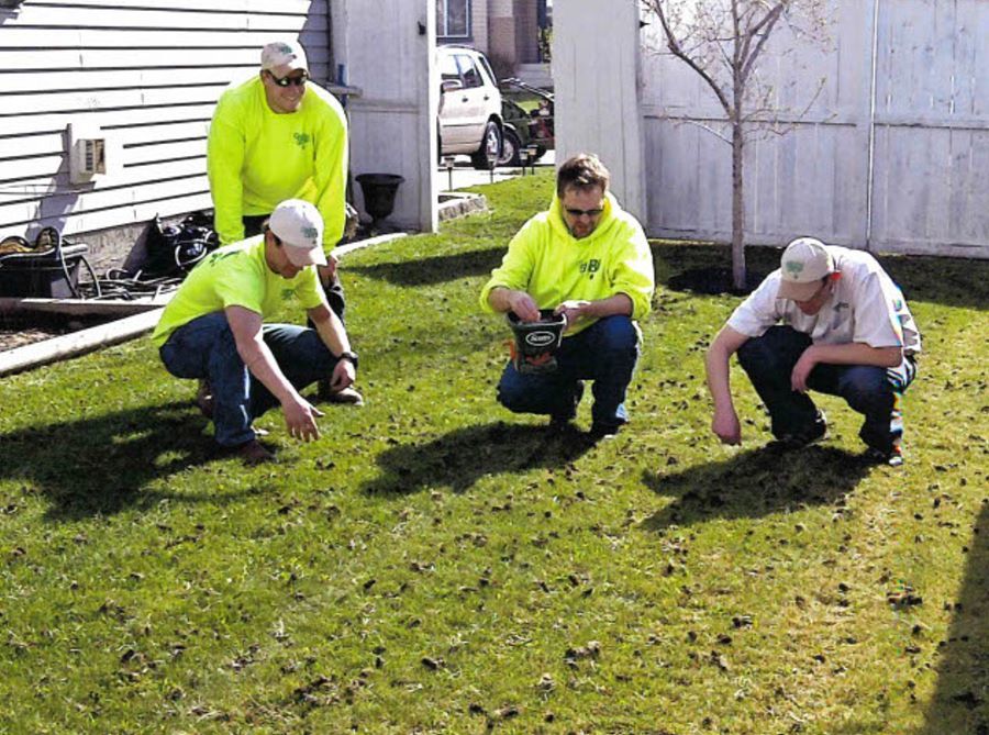 Green Drop greenkeepers overseeding a lawn