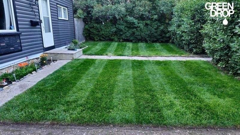 Freshly maintained backyard lawn in Saskatoon after Green Drop’s professional lawn care treatment