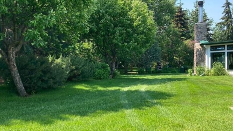 beautiful lawn by Green Drop