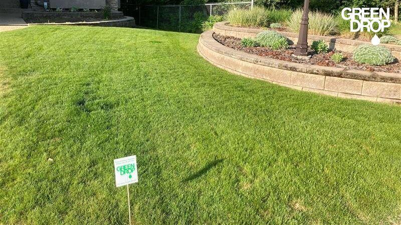 green lawn after fertilization treatment by Green Drop
