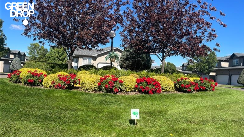 lush lawn after Green Drop treatment with their sign