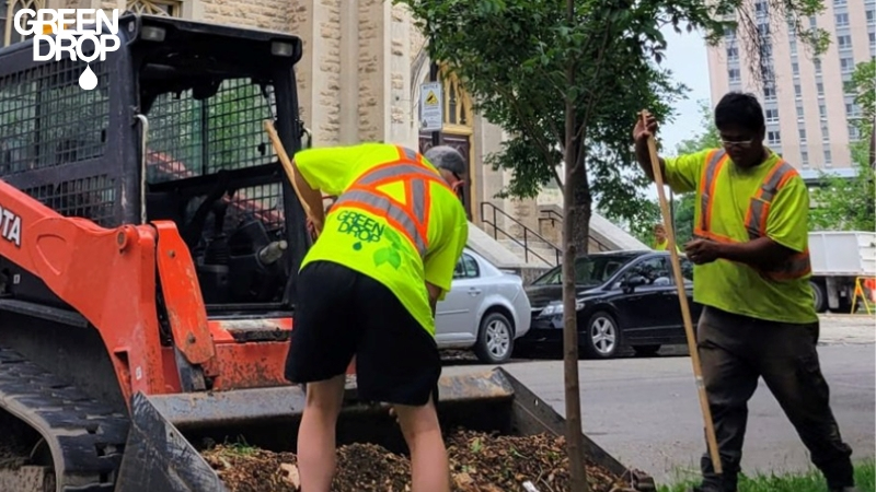 Green Drop workers during their municipal tree care service