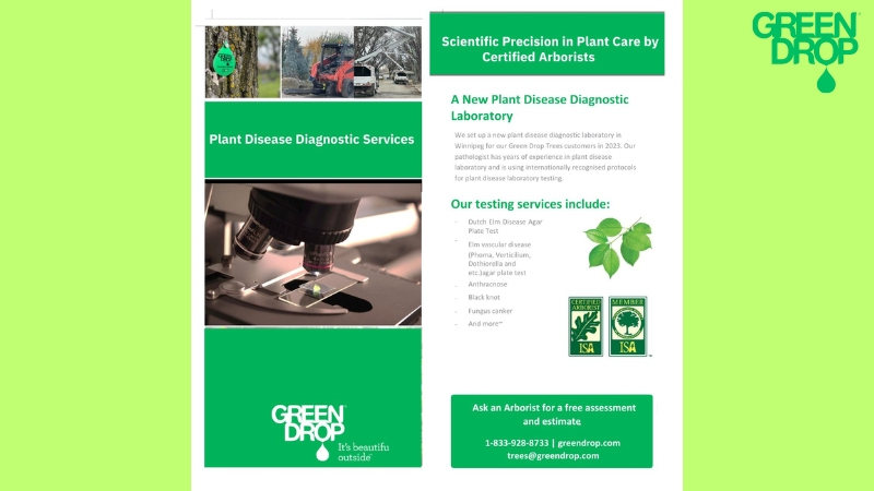 Green Drop tree diagnostics poster