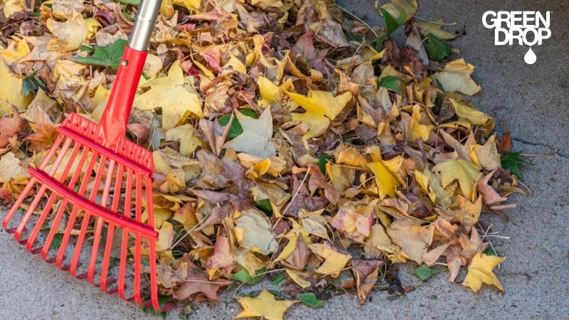 raking leaves