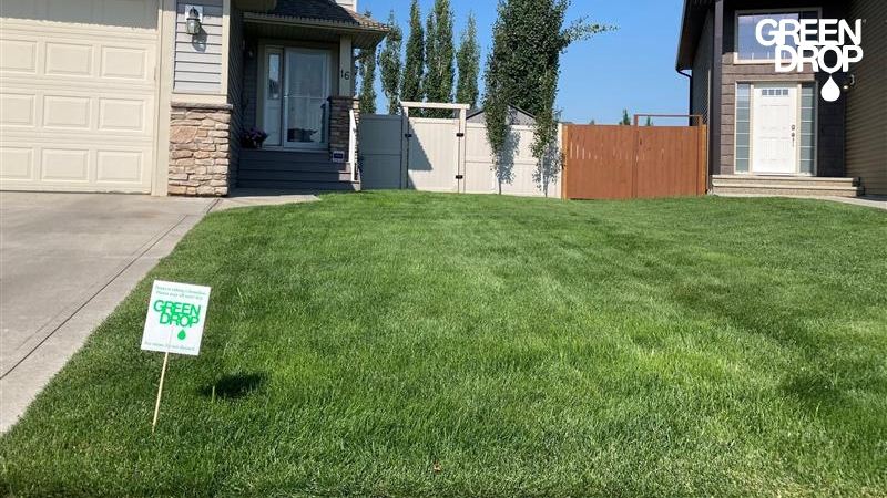 front lawn after treatment by Green Drop in Red Deer
