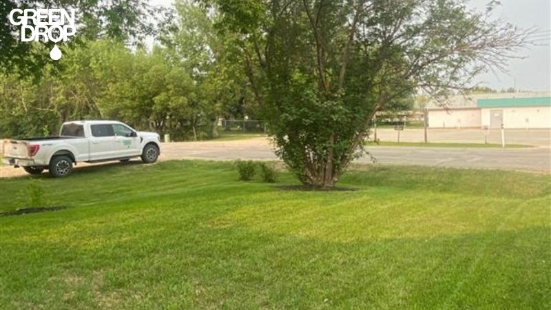 lawn after treatment in Regina by Green Drop