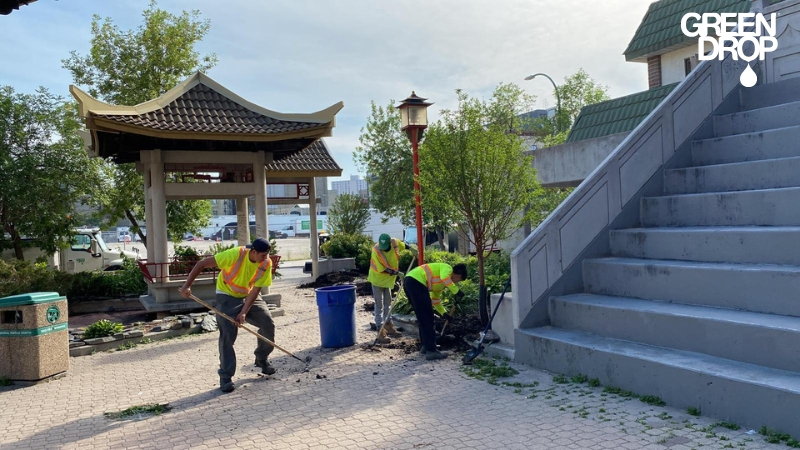 green drop worker planting trees in public areas