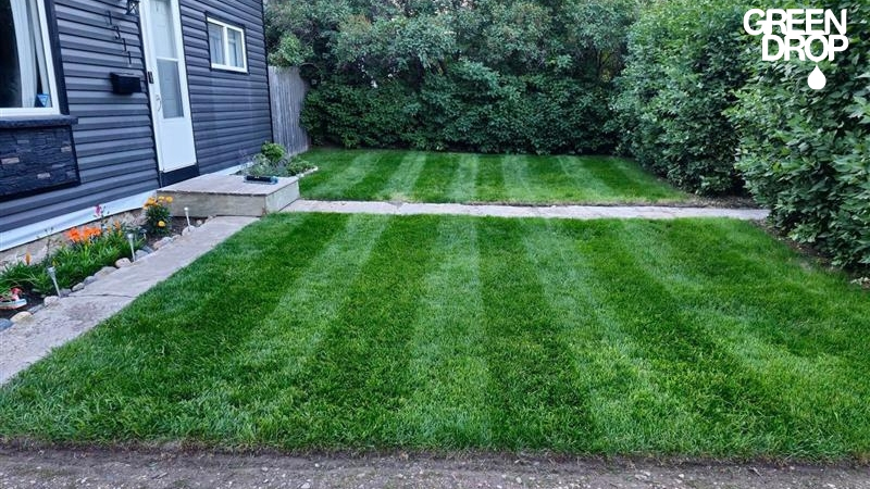 backyard lawn in Saskatoon by Green Drop