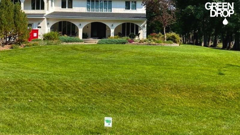 front lawn treated by Green Drop in Saskatoon