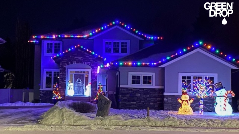 6 Dazzling Ways to Light Up Your Outdoor Trees This Christmas Season in Winnipeg