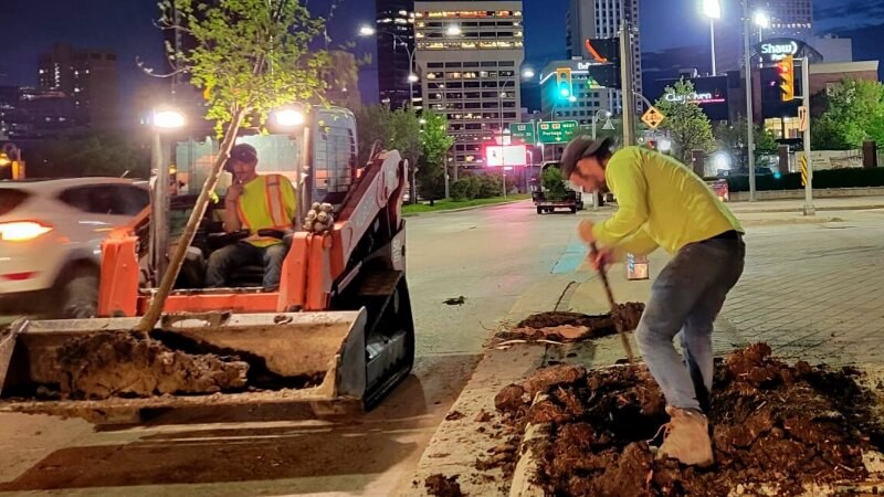 Green Drop Street Planting