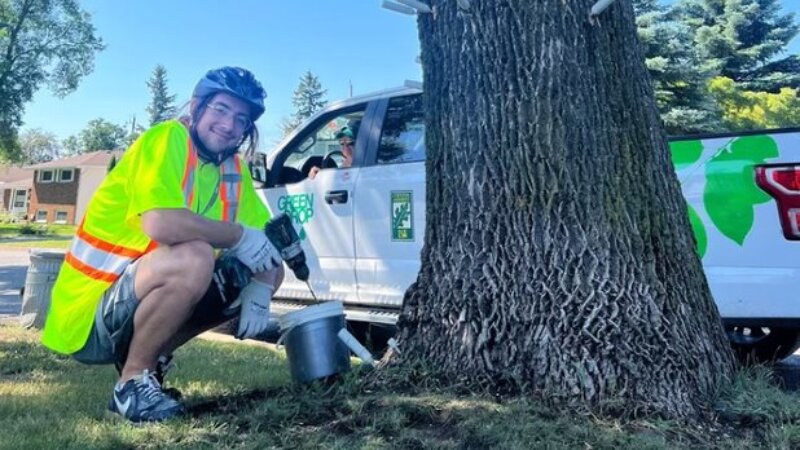 Green Drop Tree Care Worker