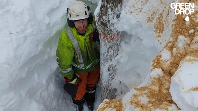 Green Drop worker standing next to a tree in snow