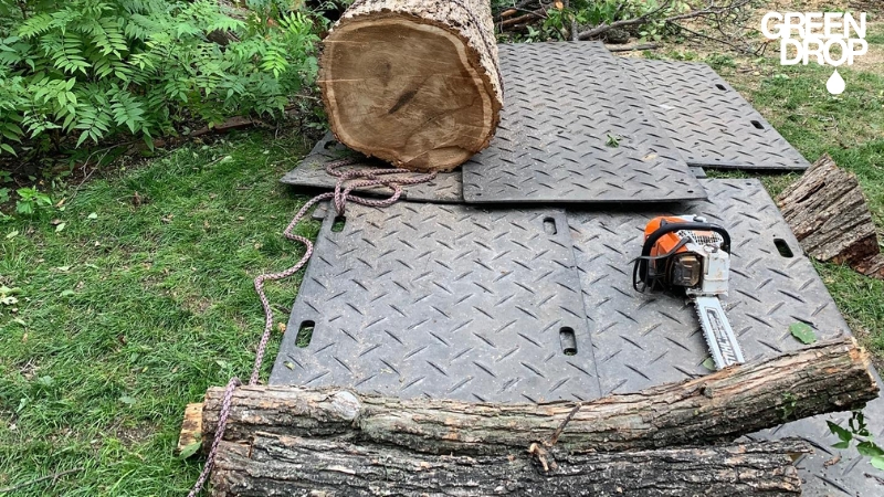 cut trees and a chainsaw on a piece of metal
