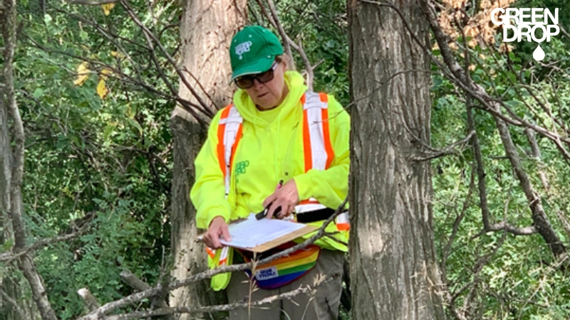 Green Drop worker standing next to a tree holding a piece of paper