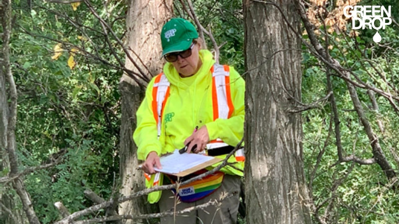 Our Winnipeg Arborists Talk About Most Common DIY Tree Removal Mistakes