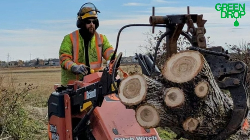 Green Drop worker using machinery to move cut trees