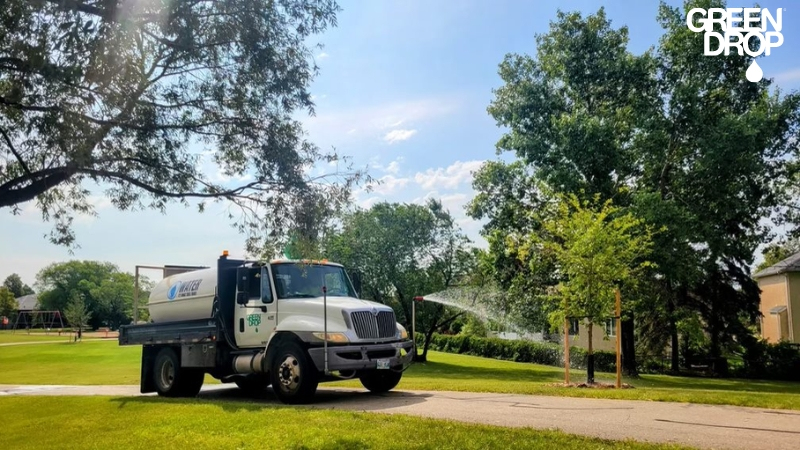 Green Drop water truck watering a tree