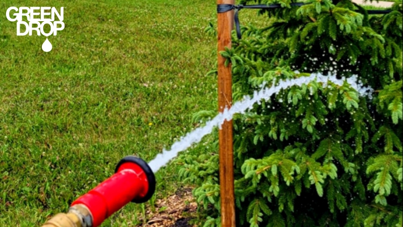 Green Drop worker watering a tree