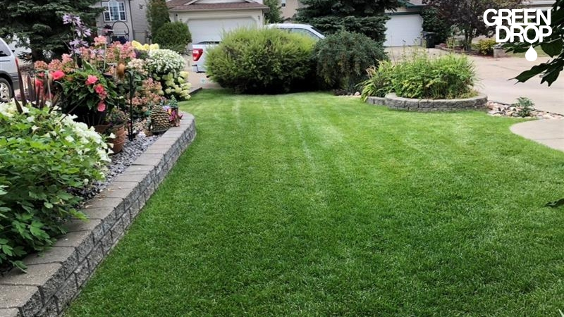 Beautiful yard lawn treated by Green Drop