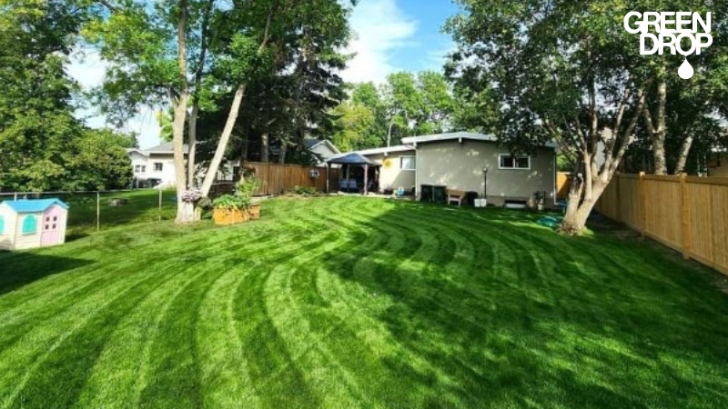 backyard lawn treated by Green Drop in Winnipeg