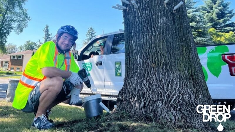 Green drop worker using tree injections