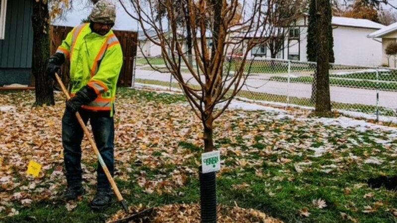 Green Drop Mulching