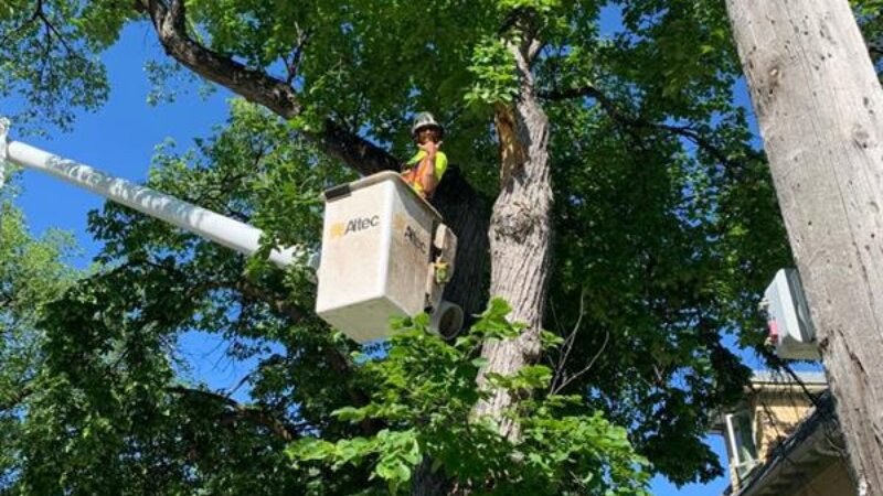 Green Drop Worker On Lift