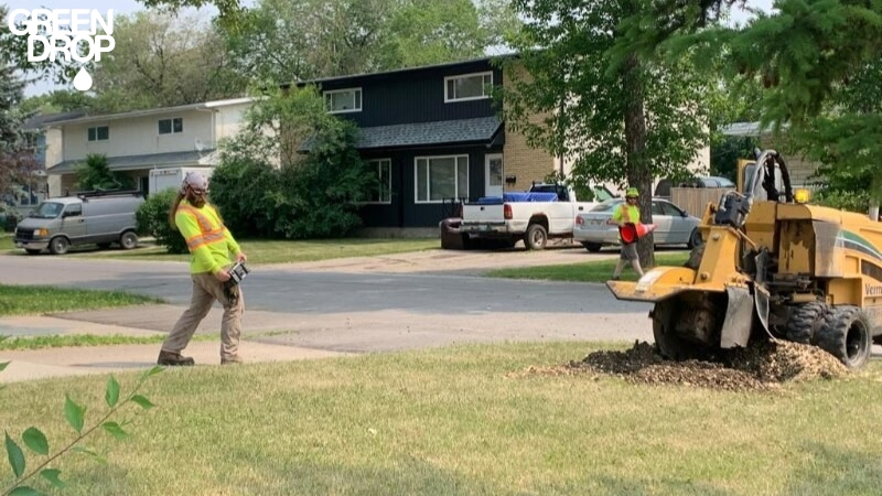 Green Drop worker removing a tree stump with machinery