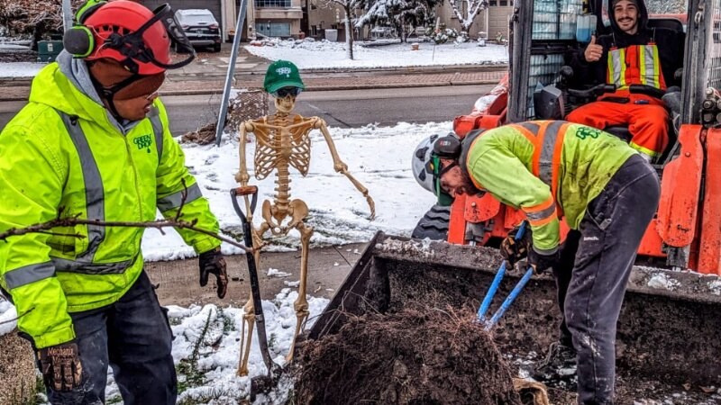Green Drop Workers Skeleton