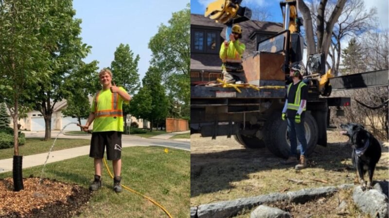 Green Drop Workers Trees