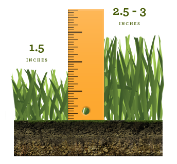 Mower Height Graphic