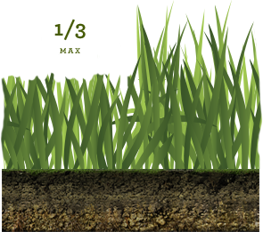 How Much To Mow 1/3 Graphic