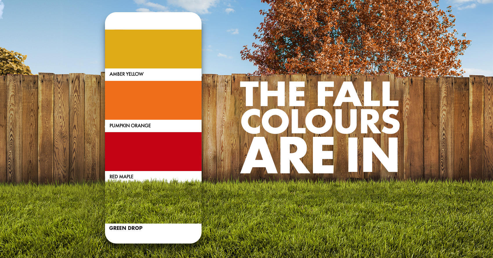 The summer of colours are in!