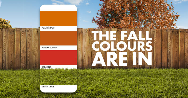 GD-Fall-Colours-Are-In-Website-V.1.jpg