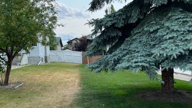 A lawn showing a clear contrast between a dry, brown section and a lush green area treated by Green Drop.