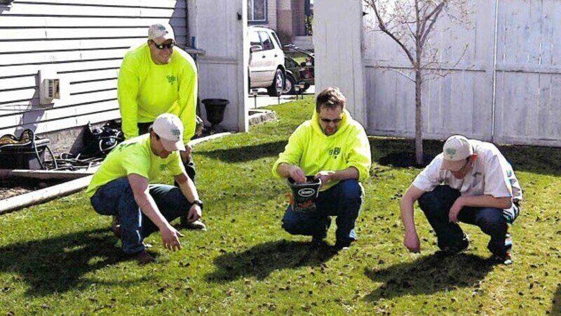 Green Drop lawn care team overseeding a lawn near Regina