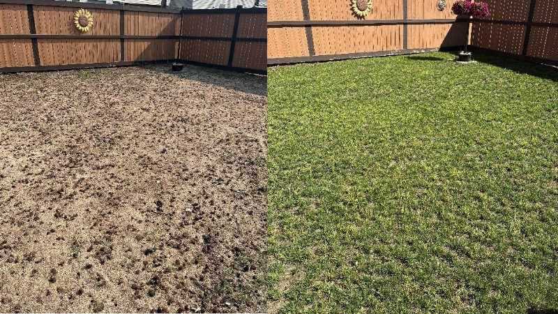 A barren backyard covered in dirt transformed into dense green grass after professional lawn care services.