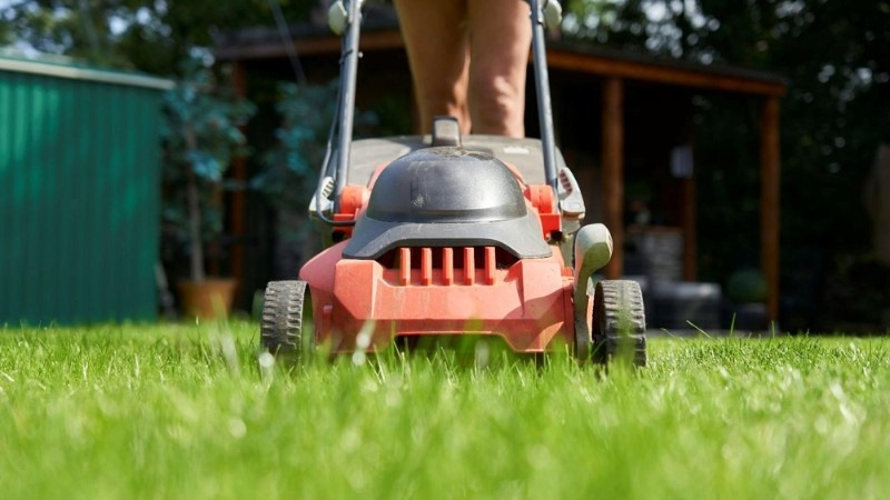 Person mowing grass with a red push lawnmower, highlighting spring lawn care steps.