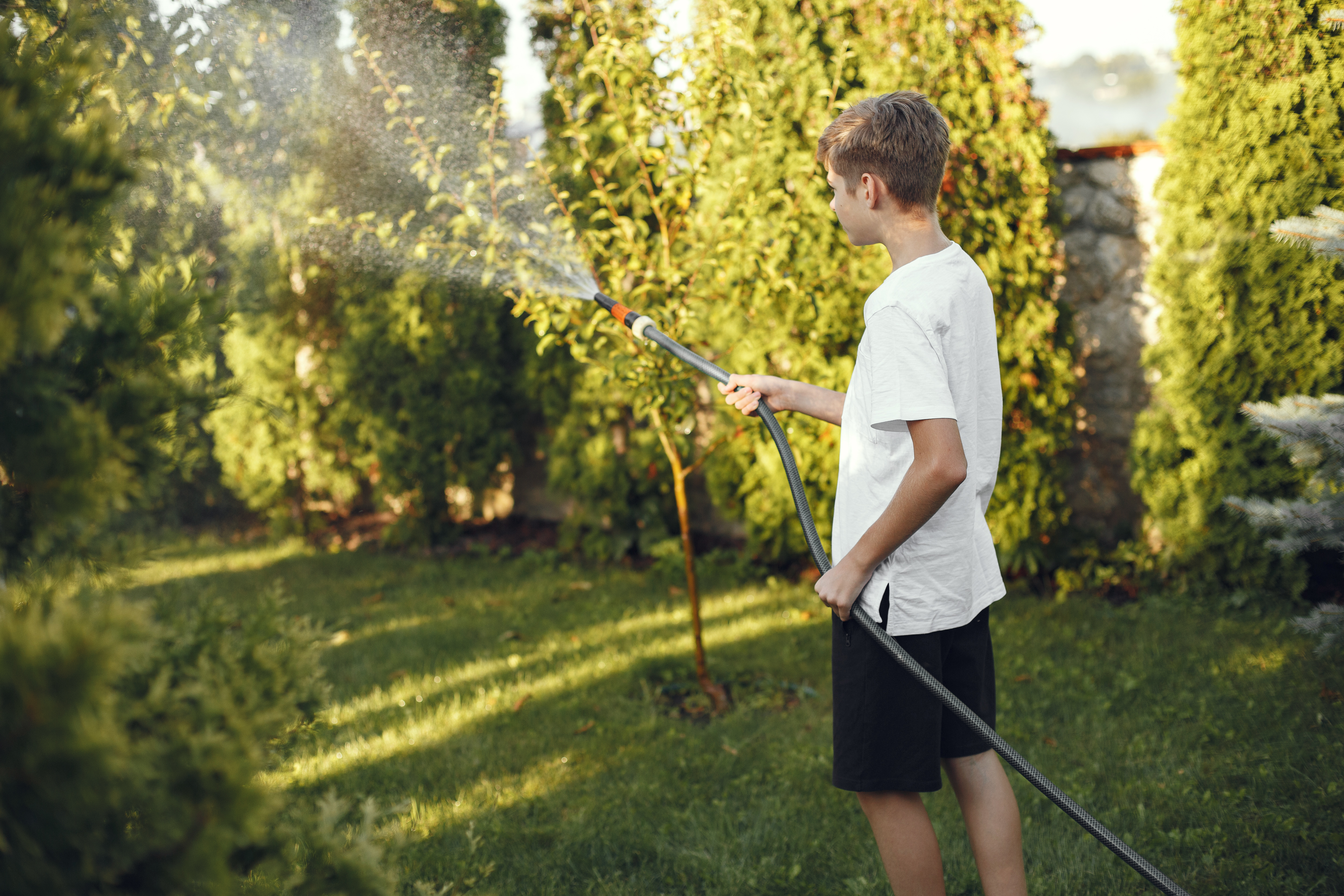 A man watering trees with a hose