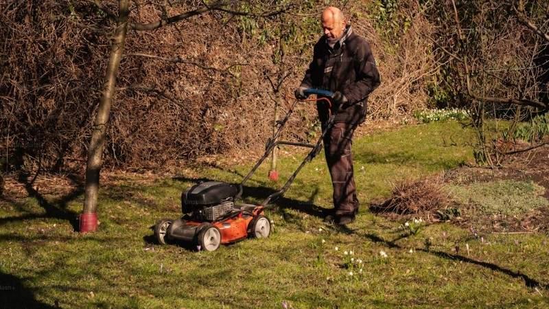 Person mowing a small patchy yard in early spring to begin lawn recovery.