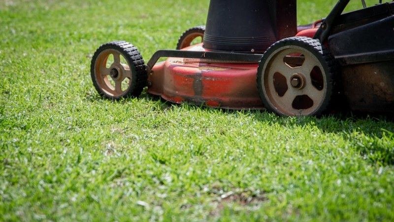 Lawn mower cutting grass low, showing how mowing too short can stress Calgary lawns
