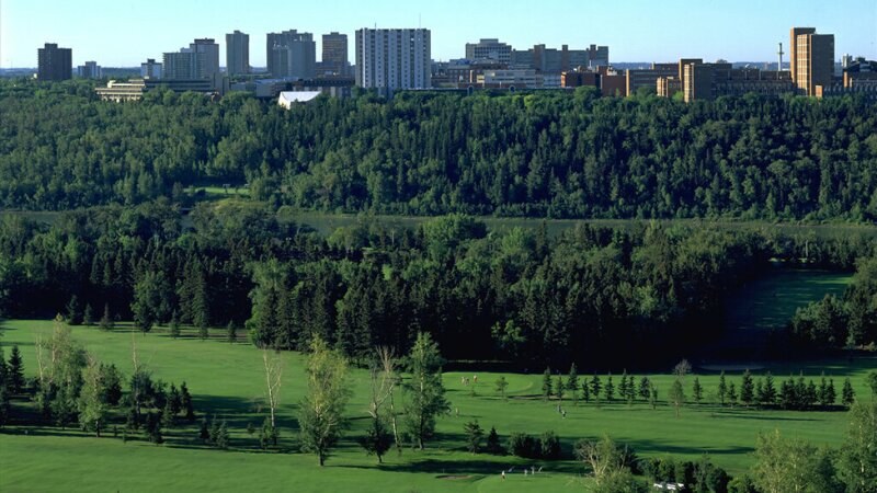 City of Edmonton with a forest
