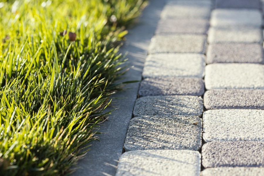 natural grass near a brick path close up