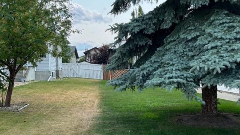 Patchy backyard lawn in Red Deer with uneven grass colour and thin areas near trees