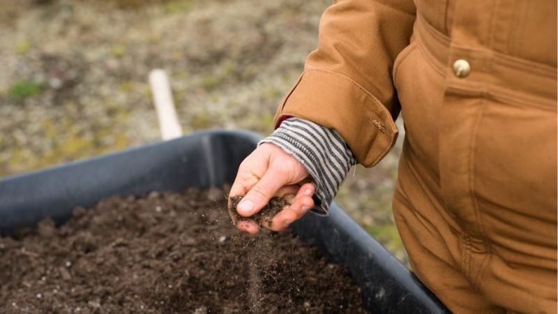 Person sprinkling soil by hand over a wheelbarrow during yard work