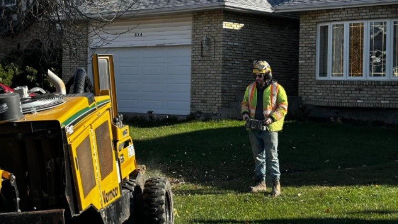A Green Drop arborist operating a Vermeer stump grinder on a residential lawn, wearing safety gear near a brick home during a tree stump removal.