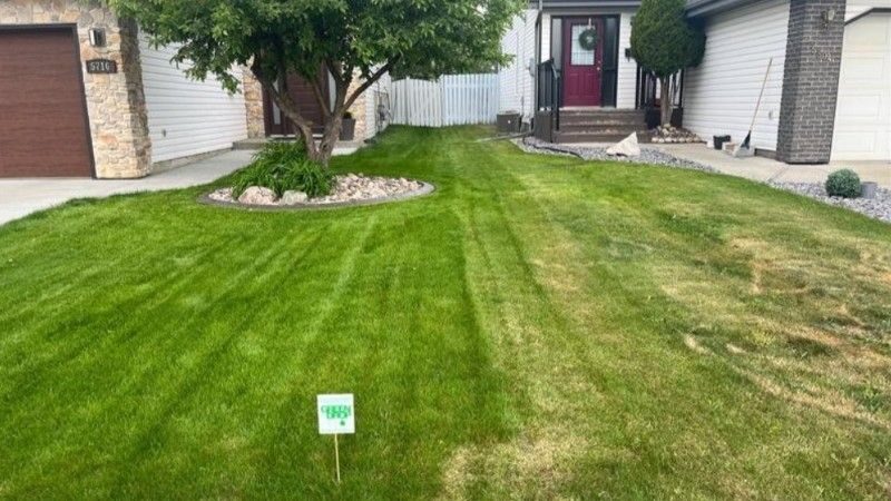 Lush green lawn in front of a house with a Green Drop marker and clean mowing lines