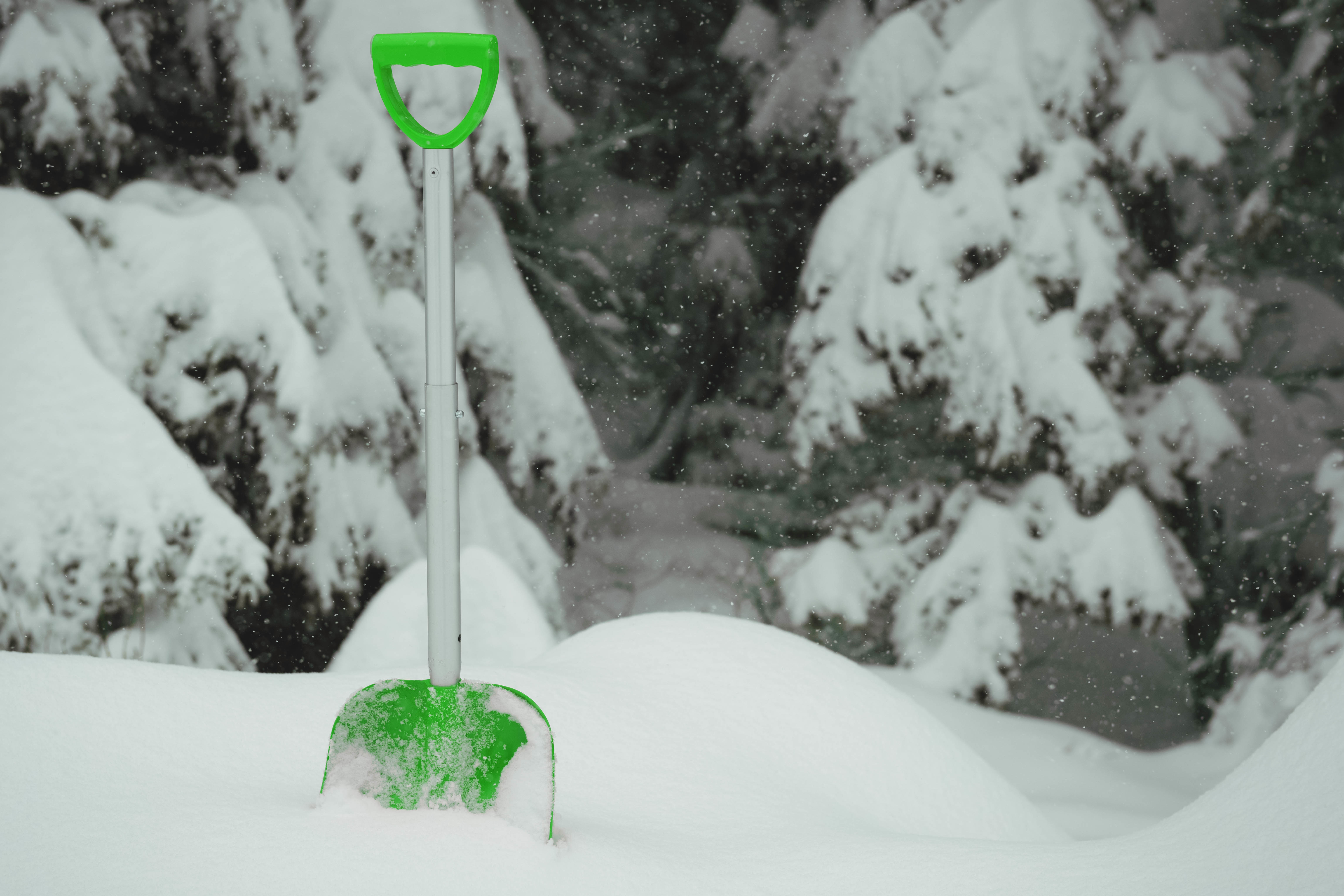 Green shovel in snow next to a line of trees